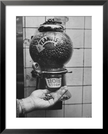 Hand Full Of Peanuts For A Penny by Nina Leen Pricing Limited Edition Print image