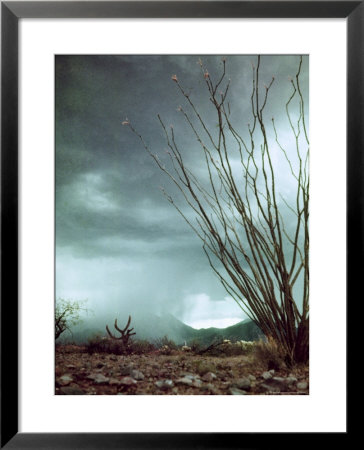 Pillar Of Rain Descending From Thunderhead Onto Desert by Loomis Dean Pricing Limited Edition Print image