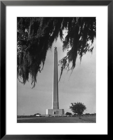 San Jacinto Memorial Top Of Monument Framed By Tree Branches Encased In Spanish Moss by Alfred Eisenstaedt Pricing Limited Edition Print image