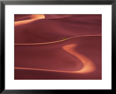 Death Valley Sand Dunes At Dawn, California, Usa by Charles Sleicher Pricing Limited Edition Print image