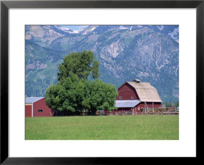 Farm Buildings With Mountain Slopes Behind, Jackson Hole, Wyoming, Usa by Mcleod Rob Pricing Limited Edition Print image