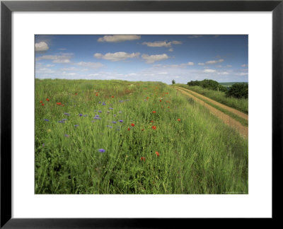 Landscape Near Clecy, Basse Normandie (Normandy), France by Michael Busselle Pricing Limited Edition Print image