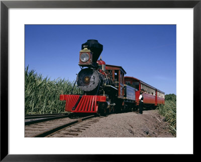 Steam Train From 1860, Reconstructed 1970, Maui Island, Hawaii, Usa by Ursula Gahwiler Pricing Limited Edition Print image