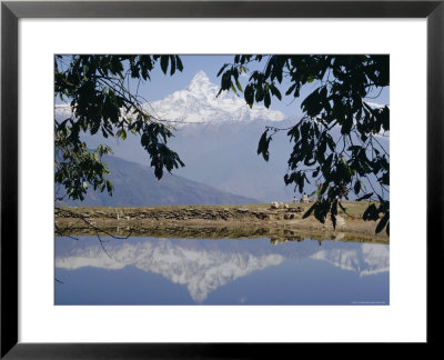 Mount Machapuchare (Machhapuchhare) Reflected In Phewa Lake, Himalayas, Nepal, Asia by N A Callow Pricing Limited Edition Print image