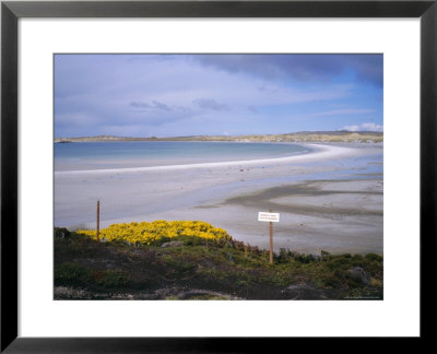 Mined Beach From The Falkland War, Near Stanley, Falkland Islands, South America by Geoff Renner Pricing Limited Edition Print image