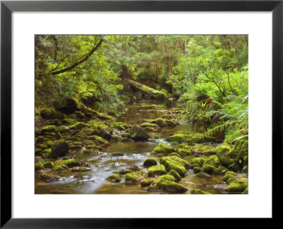 Creekton Rivulet, Southern Forests, Tasmania, Australia, Pacific by Jochen Schlenker Pricing Limited Edition Print image