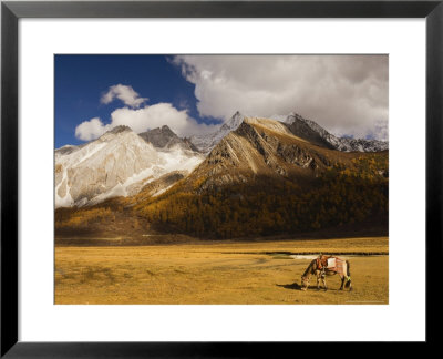 Xiaruoduojio Mountain And Horse, Yading Nature Reserve, Sichuan Province, China, Asia by Jochen Schlenker Pricing Limited Edition Print image