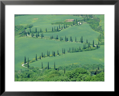 Road Winding Up Hillside, Orcia Valley, Tuscany, Italy, Europe by Bruno Morandi Pricing Limited Edition Print image