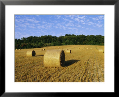 Hay Bales In A Field In Late Summer, Kent, England, Uk, Europe by David Tipling Pricing Limited Edition Print image