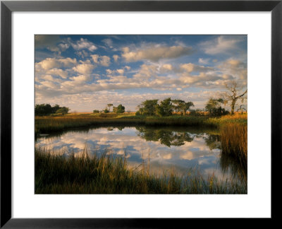 Chimney Creek Reflections, Tybee Island, Savannah, Georgia by Joanne Wells Pricing Limited Edition Print image