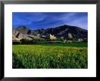 Samye Monastery Across Field, Samye Monastery, Tibet by Grant Dixon Pricing Limited Edition Print image