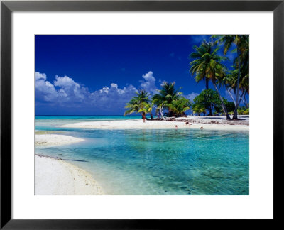 People Swimming In Lagoon, French Polynesia by Jean-Bernard Carillet Pricing Limited Edition Print image