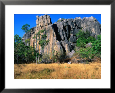 Limestone Towers On Walking Trail From Donna Cave To Royal Arch Cave, Queensland, Australia by Ross Barnett Pricing Limited Edition Print image