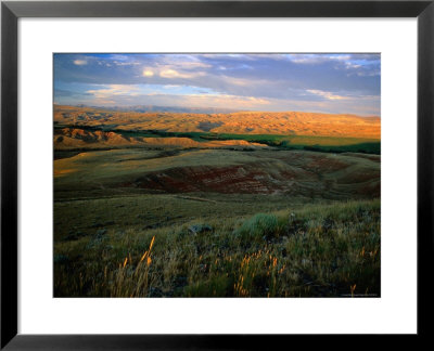 Grasslands And Rolling Hills In The Late Afternoon Sunlight by Charles Cook Pricing Limited Edition Print image