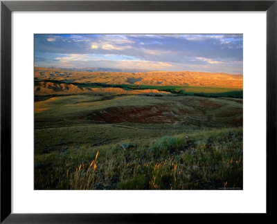 Grasslands And Rolling Hills In The Late Afternoon Sunlight by Charles Cook Pricing Limited Edition Print image