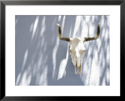Animal Skull And Horns Hanging On Blue Wall, California by Gina Martin Pricing Limited Edition Print image