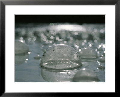 Close-Up Of Gaseous Bubbles In A Hot Spring On The Uzon Caldera by Carsten Peter Pricing Limited Edition Print image