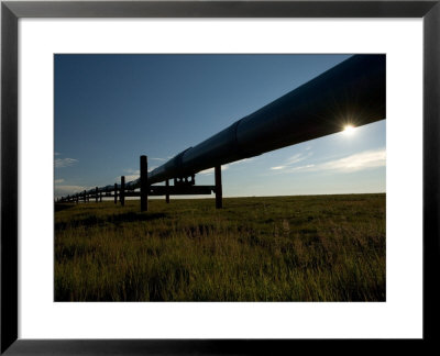 Alaska Pipeline, North Slope, Alaska by Michael S. Quinton Pricing Limited Edition Print image