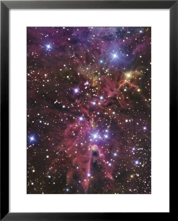 Stellar Nursery Located Towards The Constellation Of Monoceros by Stocktrek Images Pricing Limited Edition Print image