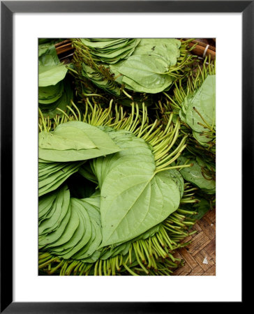 Betel Leaves (Piper Betle) Used To Make Quids For Sale At Market, Myanmar by Jay Sturdevant Pricing Limited Edition Print image