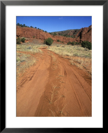 Red Dirt Road Through The Pinyons, Sagebrush And Red Rock, New Mexico by Rich Reid Pricing Limited Edition Print image