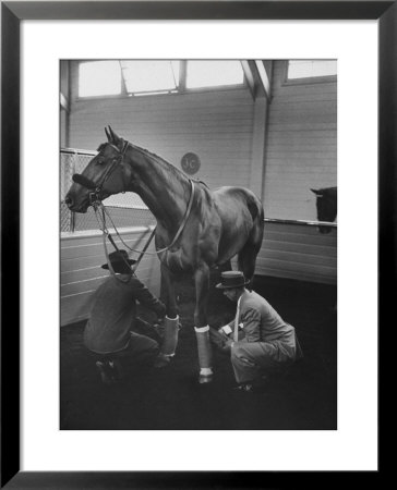 Silky Sullivan Being Prepared For The Santa Anita Derby by Allan Grant Pricing Limited Edition Print image