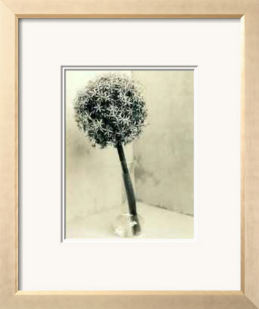 Floral #2 by Adriene Veninger Pricing Limited Edition Print image
