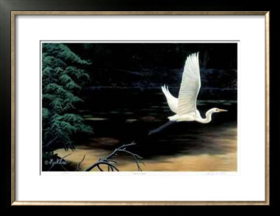 Taking Flight by Cyril Cox Pricing Limited Edition Print image