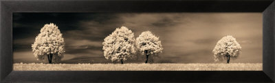 Together And Alone Iii by Ily Szilagyi Pricing Limited Edition Print image