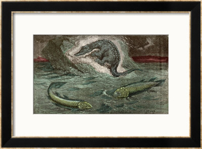 Protosaurus And Two Of The Marine Creatures From Which It Developed, Holoptychius And Osteolepis by A. Demarle Pricing Limited Edition Print image