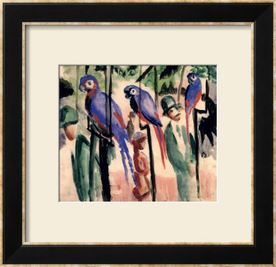 Blue Parrots by Auguste Macke Pricing Limited Edition Print image
