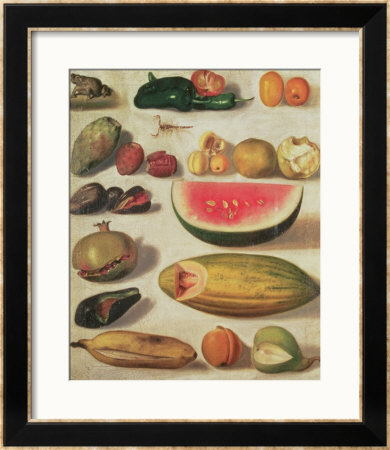 Still Life With Fruit And Toad by Hermenegildo Bustos Pricing Limited Edition Print image