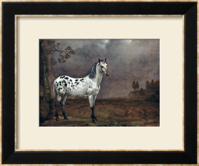 The Piebald Horse, 1653 by Paulus Potter Pricing Limited Edition Print image