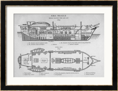 Hms Beagle Charles Darwin's Research Ship by R.T. Pritchett Pricing Limited Edition Print image