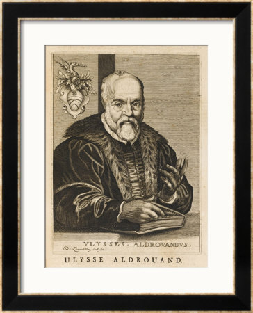 Ulisse Aldrovandi Italian Naturalist And Physician by Nicolas De Larmessin Pricing Limited Edition Print image