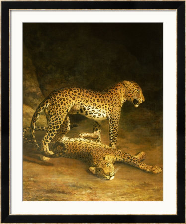 Two Leopards Lying In The Exeter Exchange, 1808 by Jacques-Laurent Agasse Pricing Limited Edition Print image