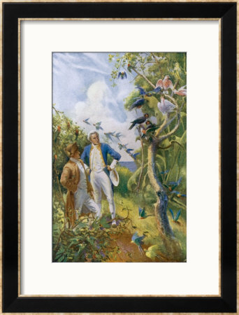 Cook And Banks Admire The Flora And Fauna Of Botany Bay Australia by Alec Ball Pricing Limited Edition Print image