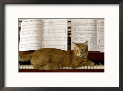 Family Cat Rests On A Piano Keyboard Beneath Sheet Music by Charles Kogod Pricing Limited Edition Print image