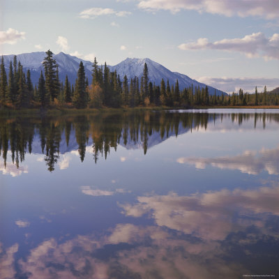 Reflections, Deneki Lakes, Mckinley Park, Alaska, Usa by Jon Hart Gardey Pricing Limited Edition Print image