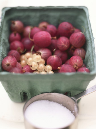 Gooseberries, White Currants And Sugar by David Loftus Pricing Limited Edition Print image