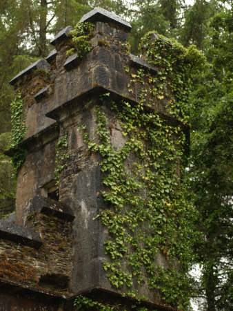 Rural Ireland, Ivy Growing On Tower by Keith Levit Pricing Limited Edition Print image