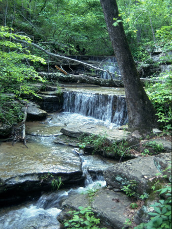 Waterfall In Forest, Buffalo National River, Az by Maryann & Bryan Hemphill Pricing Limited Edition Print image