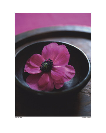 Alizarin Crimson Ii by Sandra Lane Pricing Limited Edition Print image