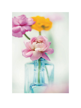 Fragrant Pastels I by Ian Winstanley Pricing Limited Edition Print image