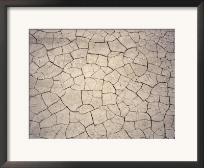 Patterns In Mud Cracks In Drought Area by James Gritz Pricing Limited Edition Print image