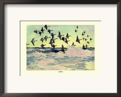 Eiders by Frank Weston Benson Pricing Limited Edition Print image