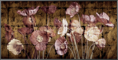 Poppies On Gold by John Seba Pricing Limited Edition Print image