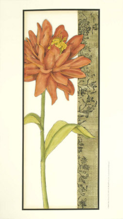 Bella Flora I by Jennifer Goldberger Pricing Limited Edition Print image