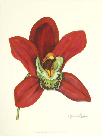 Majestic Orchid Iii by Jennifer Goldberger Pricing Limited Edition Print image