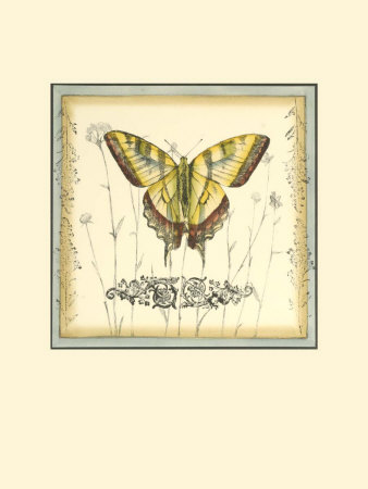 Butterfly And Wildflowers Iii by Jennifer Goldberger Pricing Limited Edition Print image